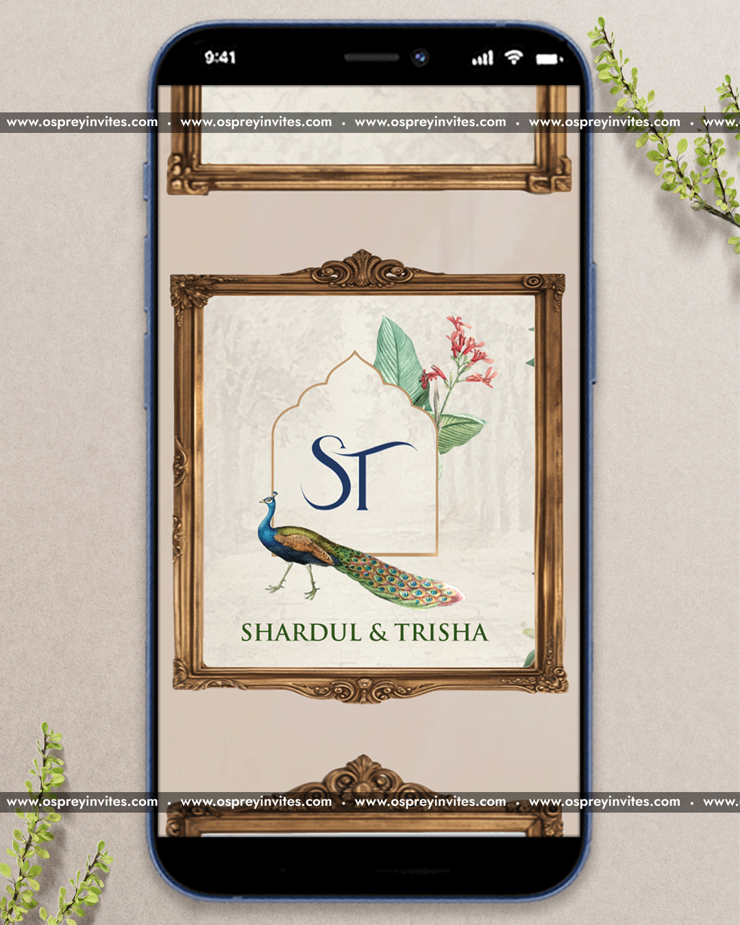 Romantic Vintage Frames