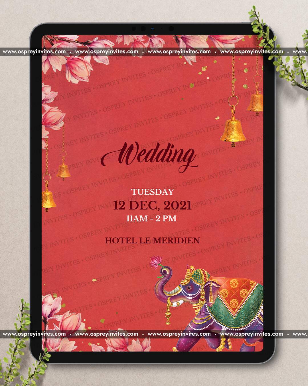 Auspicious Occasions (Video)